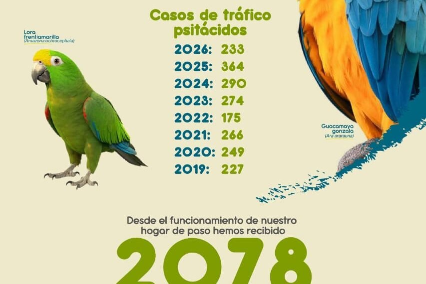 Alerta y denuncia. La Corporación&hellip;